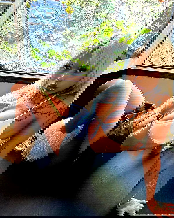 dreambabydrea dreambabydrea archive image