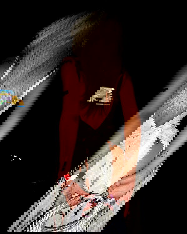 dreambabydrea dreambabydrea archive image