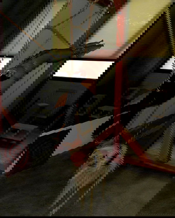 dreambabydrea dreambabydrea archive image