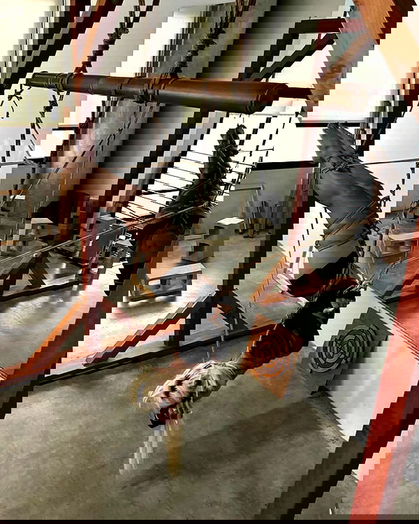 dreambabydrea dreambabydrea archive image