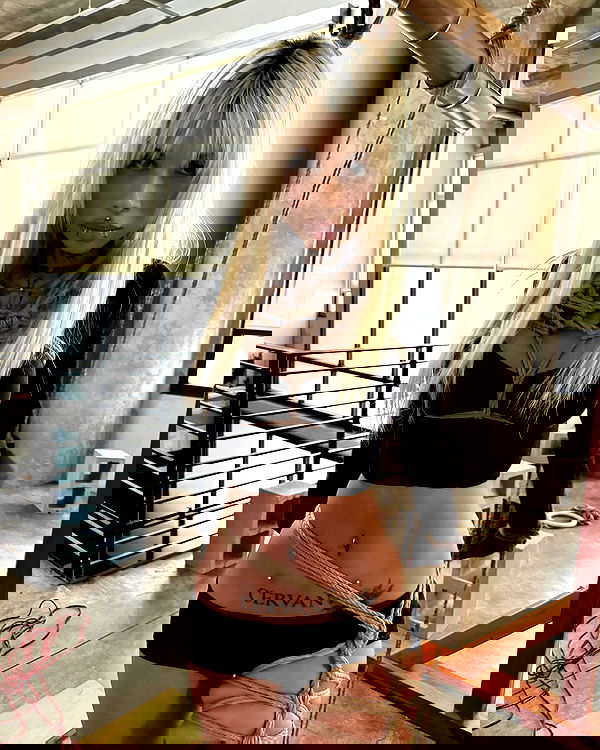 dreambabydrea dreambabydrea archive image