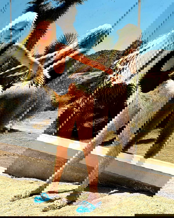 dreambabydrea dreambabydrea archive image