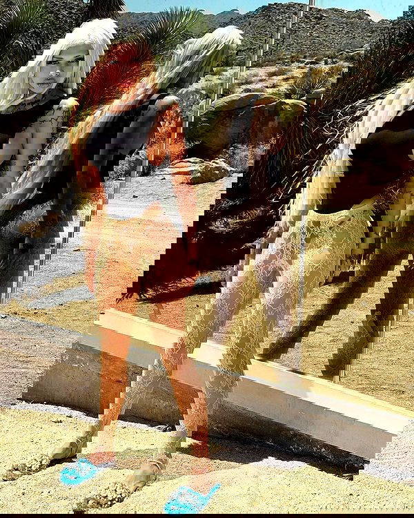 dreambabydrea dreambabydrea archive image