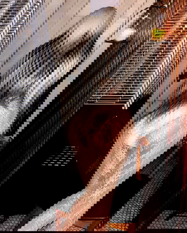 dreambabydrea dreambabydrea archive image