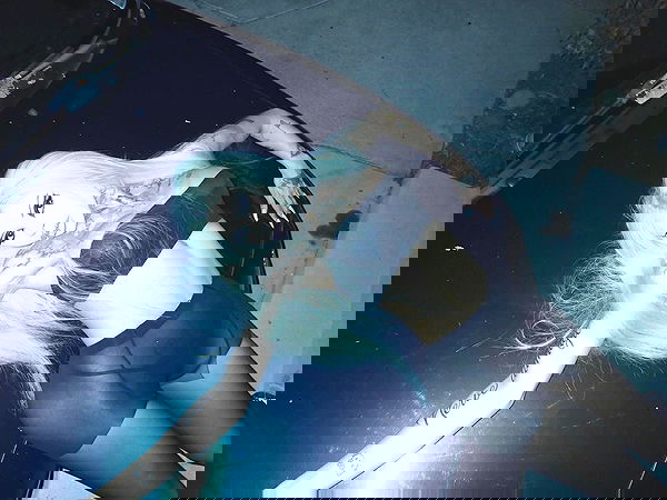 dreambabydrea dreambabydrea archive image