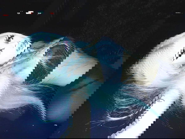 dreambabydrea dreambabydrea archive image