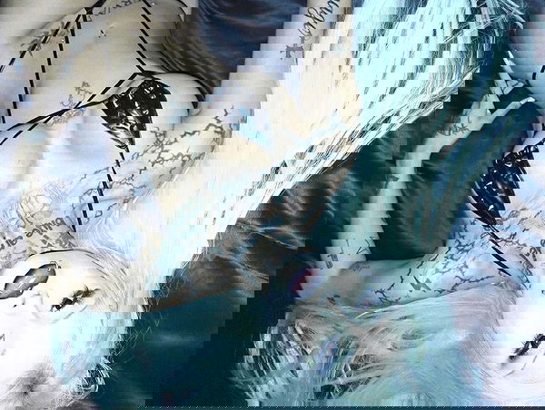 dreambabydrea dreambabydrea archive image