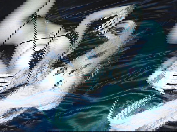 dreambabydrea dreambabydrea archive image