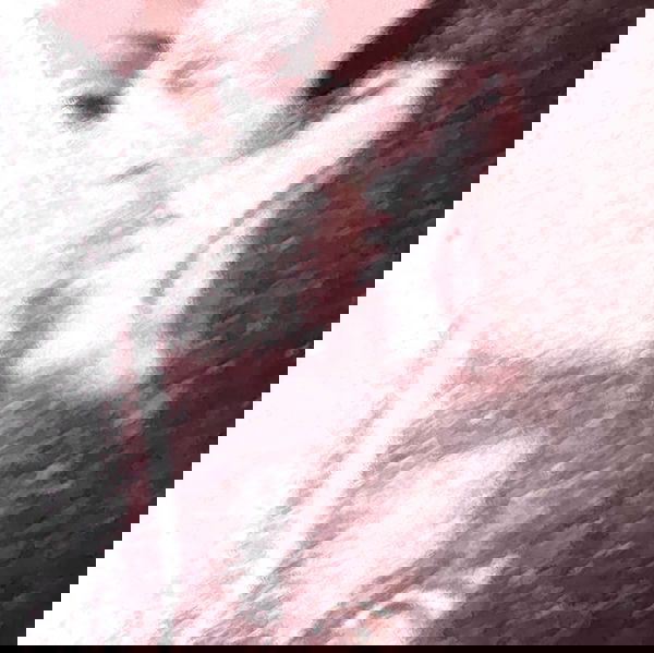 dreambabydrea dreambabydrea archive image