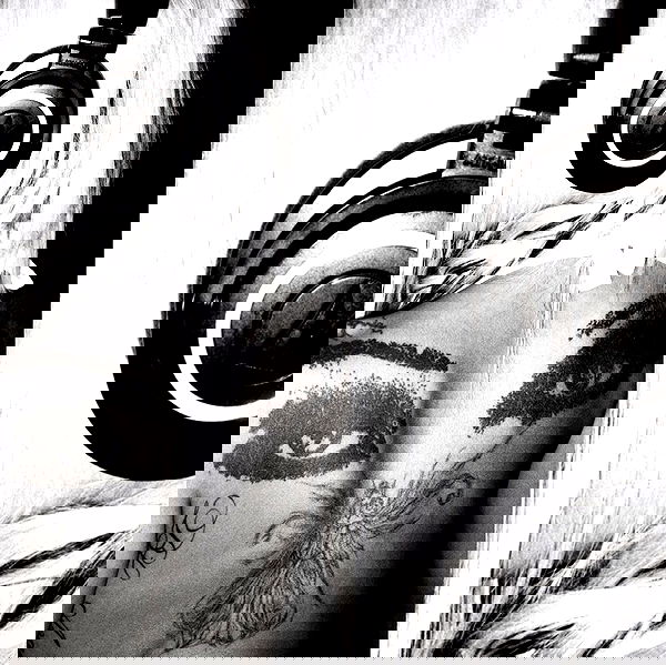 dreambabydrea dreambabydrea archive image