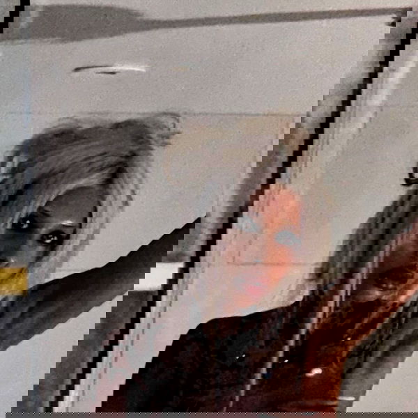 dreambabydrea dreambabydrea archive image