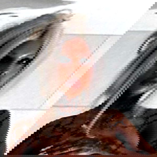 dreambabydrea dreambabydrea archive image