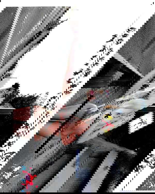 dreambabydrea dreambabydrea archive image