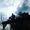 dror_morad Altpins Profile Picture