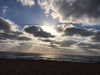 dror_morad Altpins Profile Picture