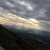 dror_morad Altpins Profile Picture