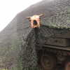 dror_morad Altpins Profile Picture