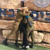 dror_morad Altpins Profile Picture