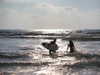 dror_morad Altpins Profile Picture