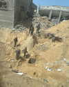 dror_morad Altpins Profile Picture