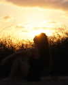 dror_morad Altpins Profile Picture
