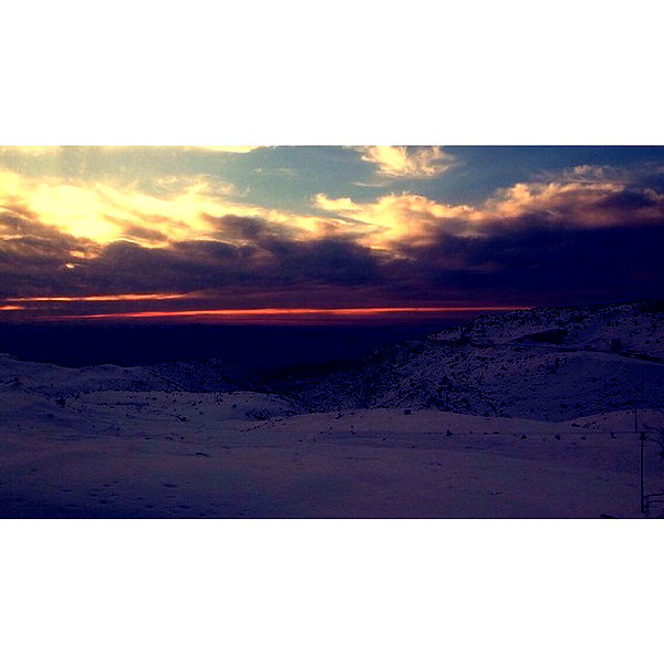 dror_morad instagram image archive image