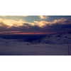 dror_morad Altpins Profile Picture