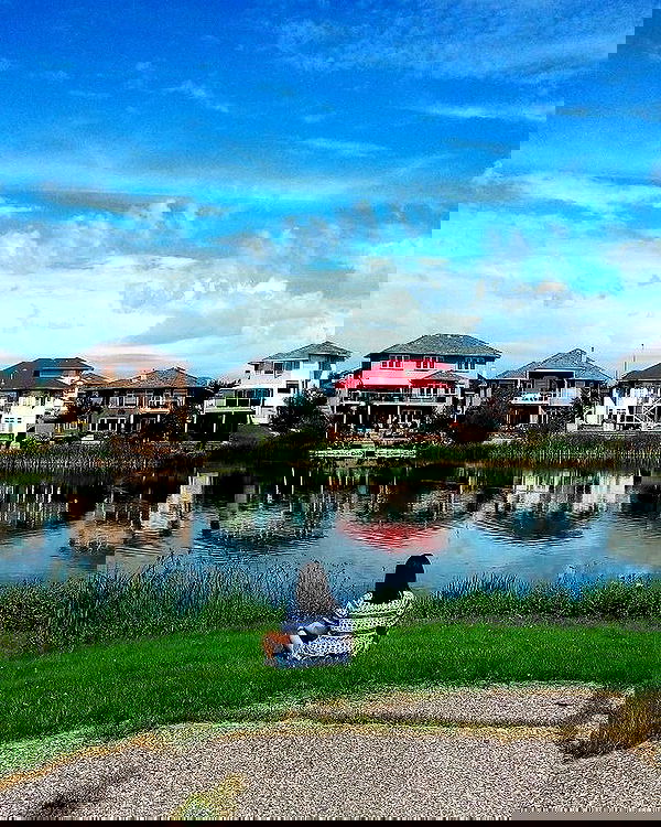 dustheadd dustheadd archive image