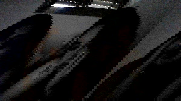 dustheadd dustheadd archive image