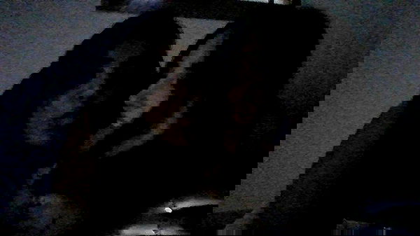 dustheadd dustheadd archive image