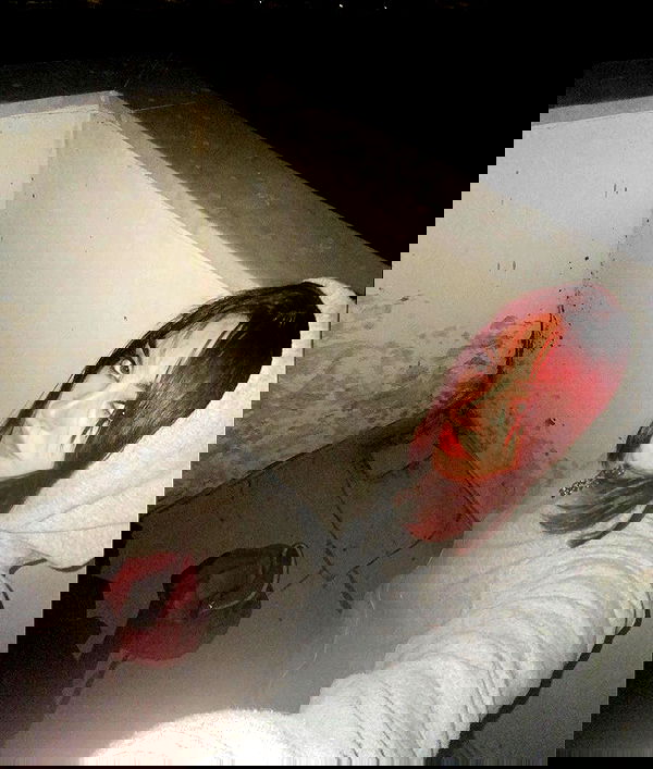 dustheadd dustheadd archive image