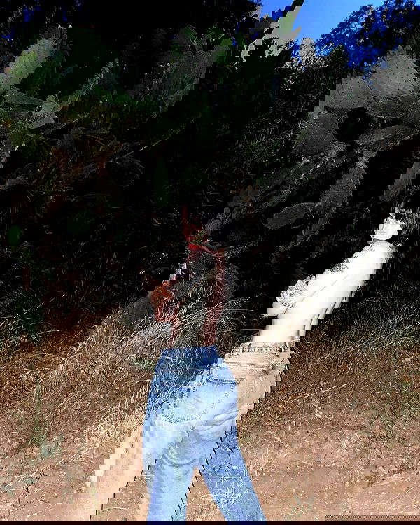 dustheadd dustheadd archive image