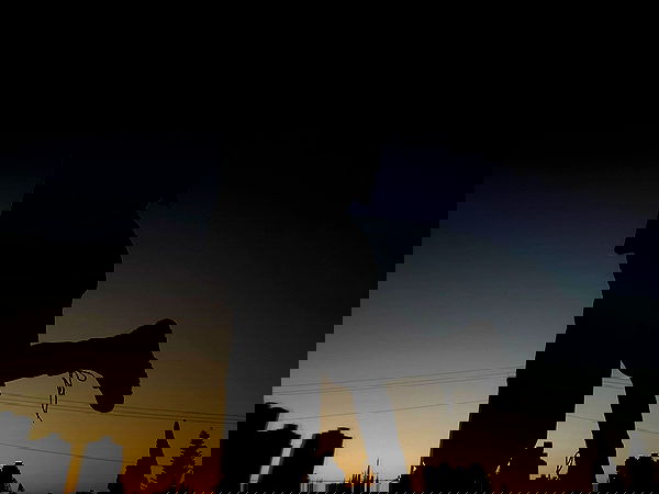 dustheadd dustheadd archive image