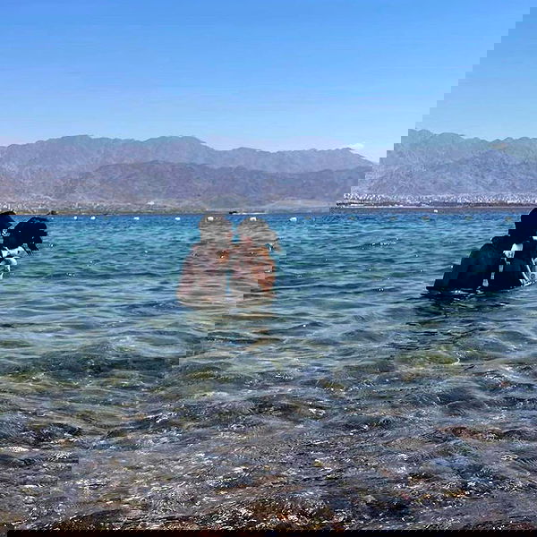 dustheadd dustheadd archive image