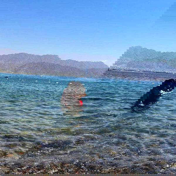 dustheadd dustheadd archive image