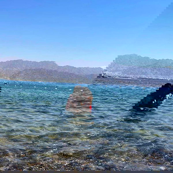 dustheadd dustheadd archive image