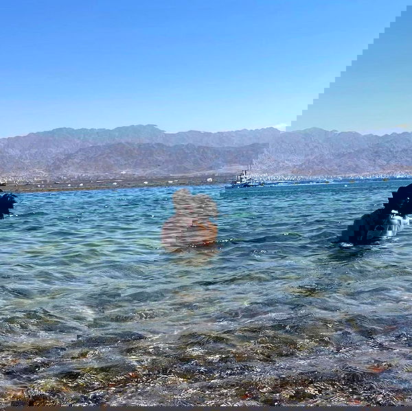 dustheadd dustheadd archive image