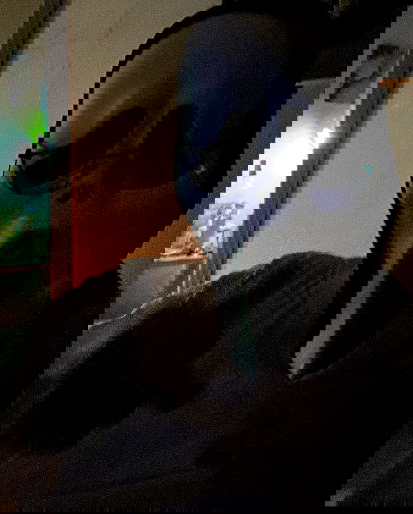 dustheadd dustheadd archive image