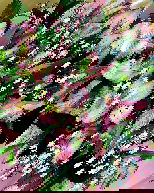 dustheadd dustheadd archive image