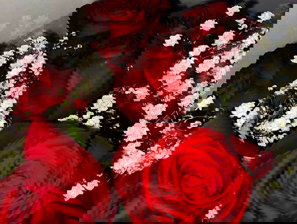 dustheadd dustheadd archive image