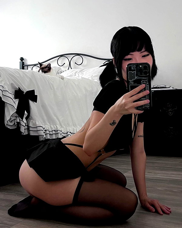 dystorra instagram image archive image
