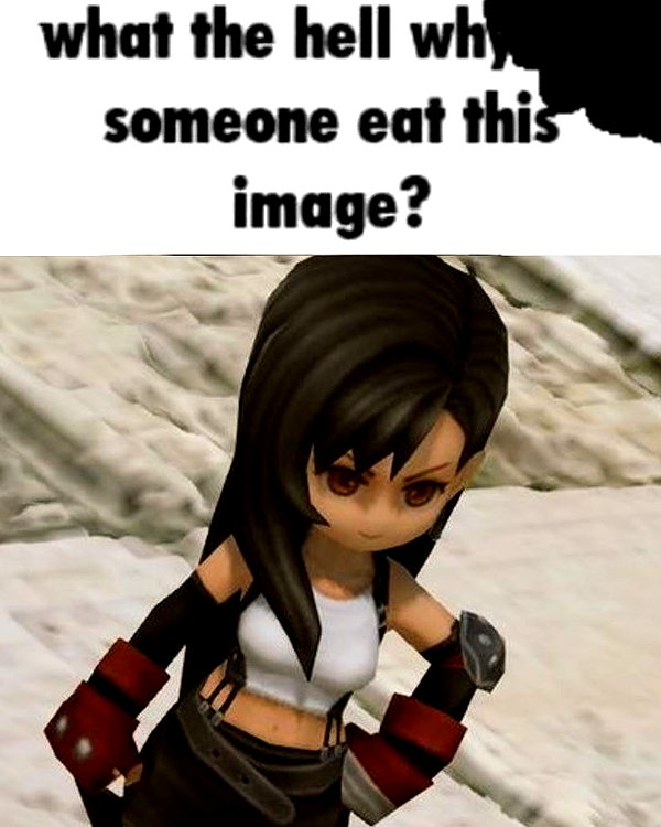 dystorra instagram image archive image