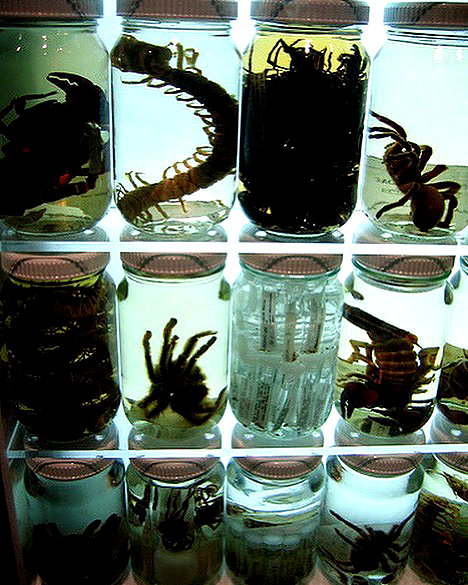 e1or4 instagram image archive image