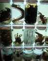 e1or4 Altpins Profile Picture