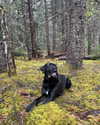 e1or4 Altpins Profile Picture