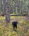 e1or4 Altpins Profile Picture
