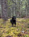 e1or4 Altpins Profile Picture