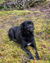 e1or4 Altpins Profile Picture