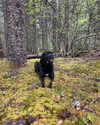 e1or4 Altpins Profile Picture