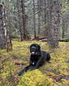 e1or4 Altpins Profile Picture